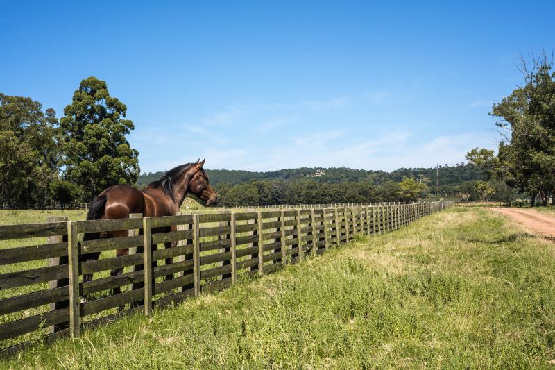Equine Fence Installation in South Houston, TX