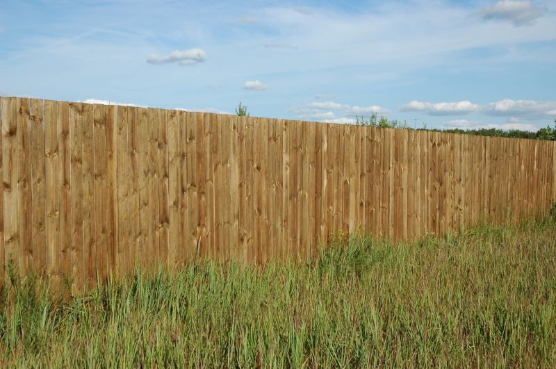 Fence Carpentry in Pearland, TX