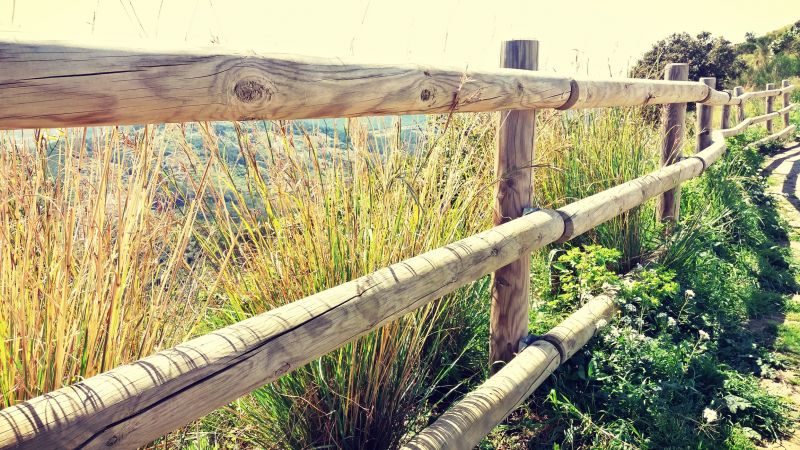 Redwood Fence Installation in Pearland, TX