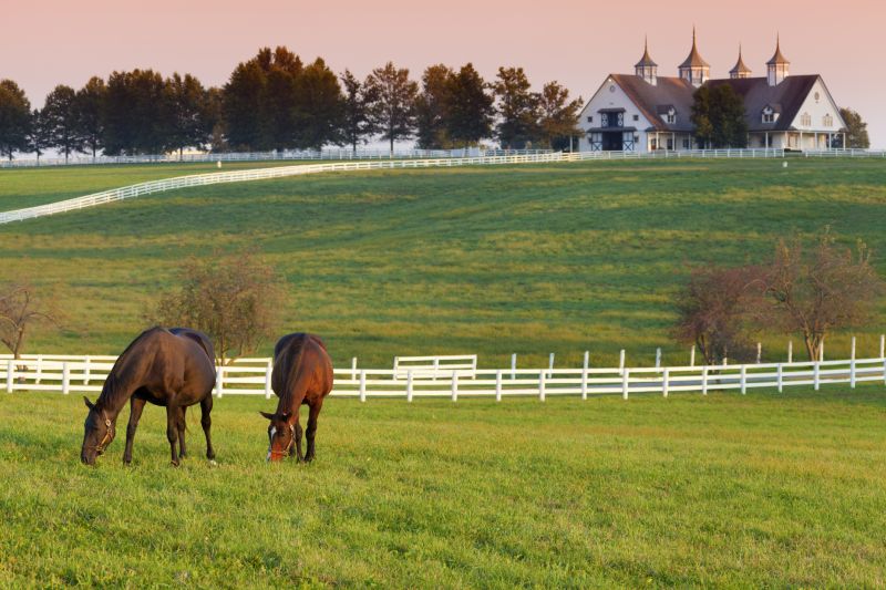 Stable Fencing Installation in Sacramento, CA