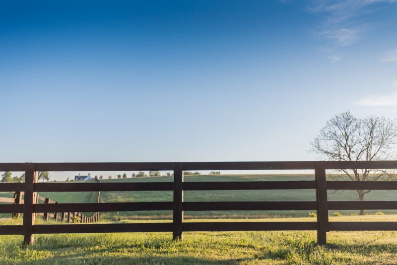 Stable Fencing Installation in Pearland, TX